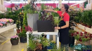 Особенности контейнерного озеленения в Сибири! Советы от агронома Гринвилль!