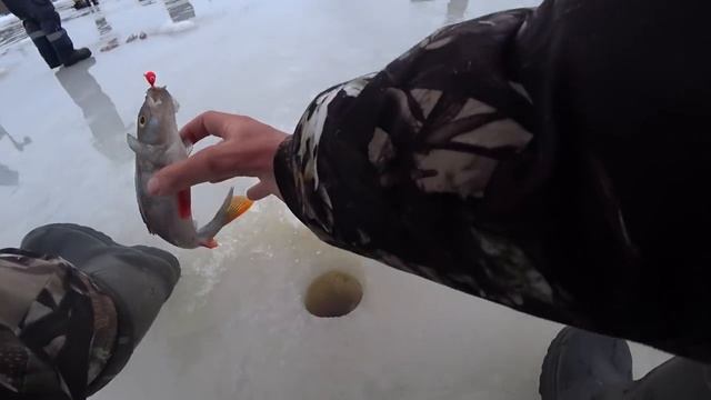 ОКУНЬ КЛЮЁТ КАК ИЗ ПУЛЕМЁТА!!! ВЕСЕННИЙ ЖОР ОКУНЯ. РЫБАЛКА УДАЛСЬ. КРУПНЫЙ ОКУНЬ. ЗАКРЫЛ СЕЗОН смотреть онлайн