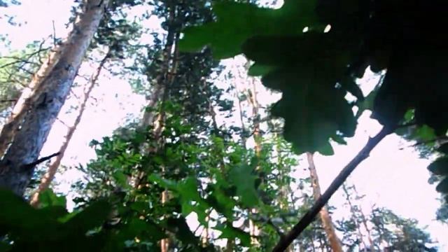 FloridaYalta КУДА ДЕЛА ДУГЛАСА. СТРАШНАЯ ПРАВДА