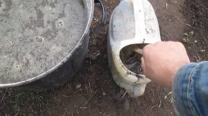 Подкормка колоновидных яблонь