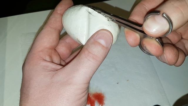 Cutting Ball Python Clutch #1 in 2019 - Fire x Enchi Calico! смотреть онлайн