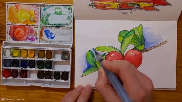 [Sketchbook Timelapse] COUPLE OF BERRIES - #watercolor #painting #sketch смотреть онлайн