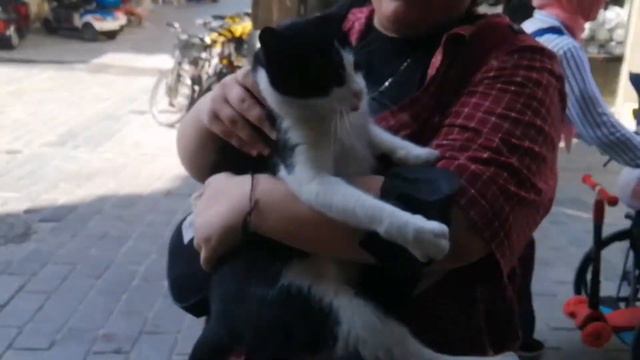 heybeliada vlog #1 смотреть онлайн