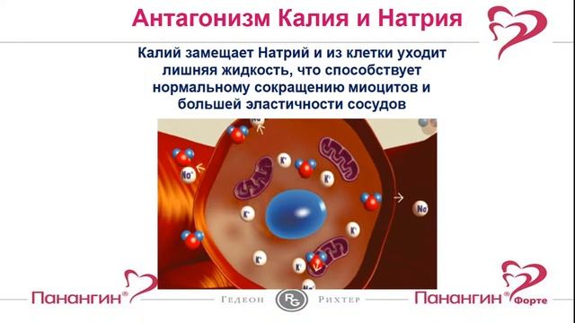 Прямая трансляция пользователя Ассоциация нутрициологов и диетологов Казахстана смотреть онлайн