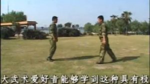 Китайский рукопашный бой