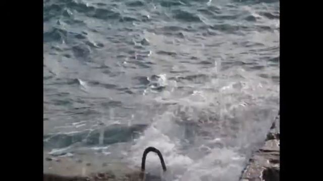 Олимпиада в Сочи глазами аниматоров! Сочи - часть1.