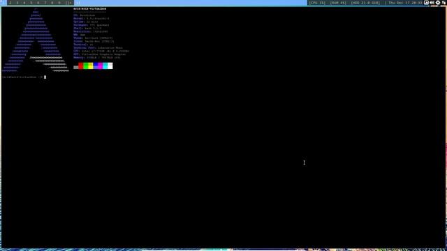 ArcoLinux : 1777 Learning about st or simple terminal - changing the font size and color смотреть онлайн