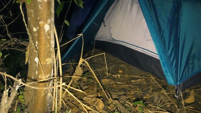 Истории про Уганду: Изгнание Нильского варана смотреть онлайн