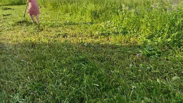 Мы на сенокос#топ #рек #рекомендации #козы #хочуврек #деревня #goats Мы на ДЗЕН👇 смотреть онлайн