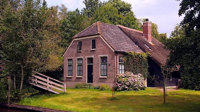 Медведица привела своего медвежонка к девушке, и вот почему смотреть онлайн