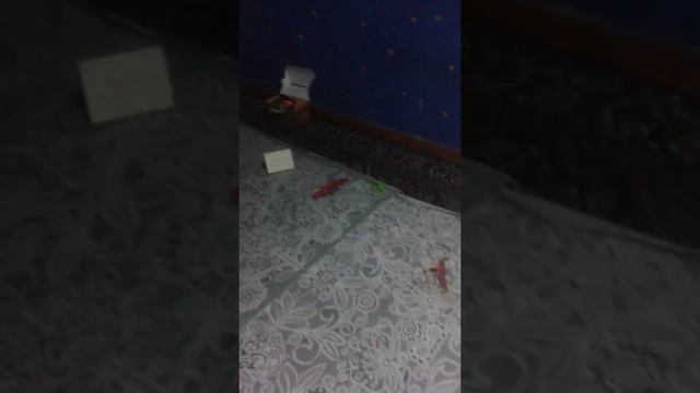 динОмир!!!! смотреть онлайн