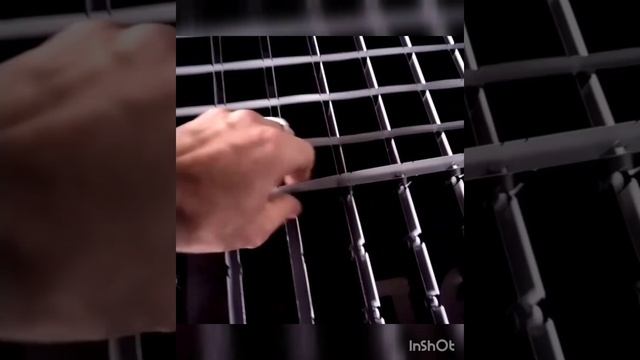 Как собирается потолок "Грильято" Сборка и Установка #грильято #всесам смотреть онлайн