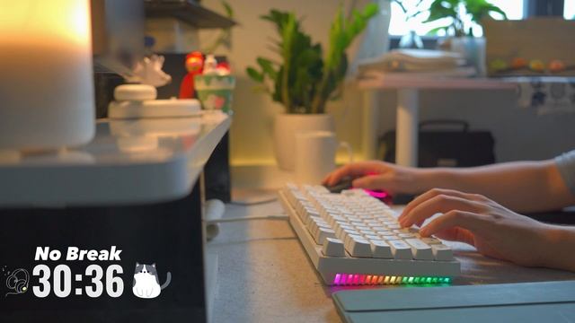 1-HOUR STUDY WITH ME /  Calm Lofi ?/ No Break / 30 Days Of Studying With Me - Ep 5.5