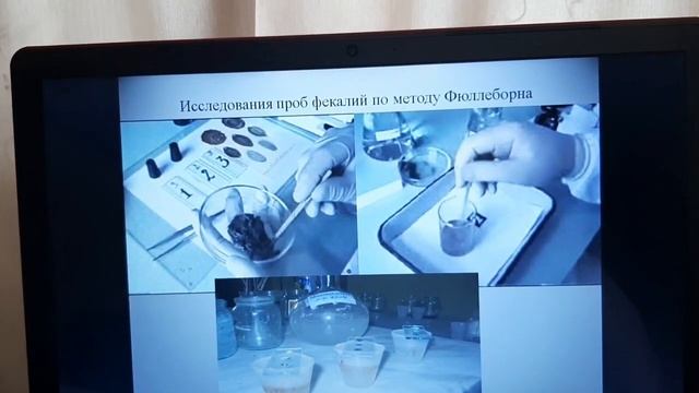 Мониторинг токсокароза кошек и собак. Роль мышевидных грызунов в распространении инвазии. смотреть онлайн