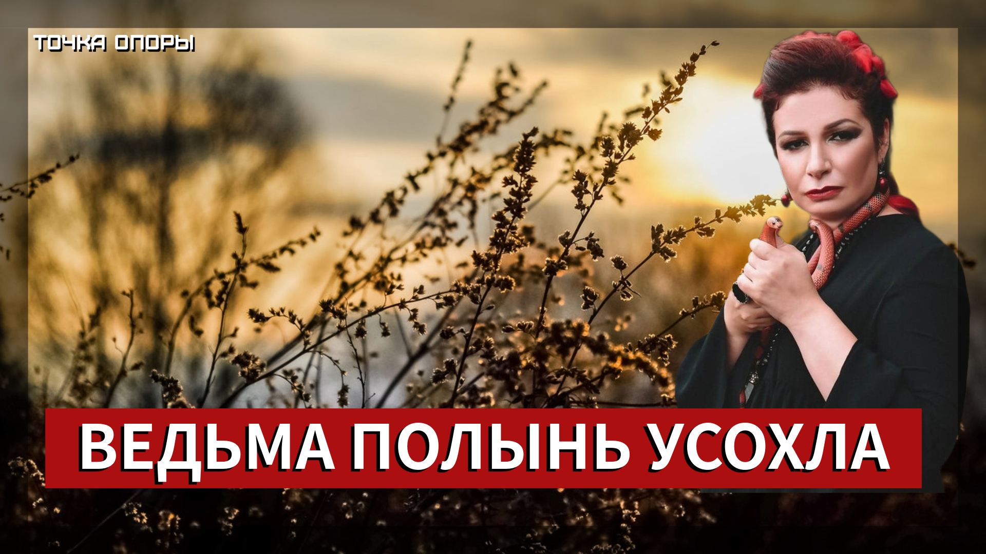 Ведьма Полынь усохла [Точка опоры]