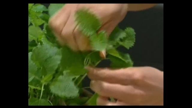 Нож-клинок смотреть онлайн