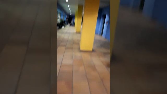 Физкультура в Польском Вузе #физра #польша #учебавпольше смотреть онлайн