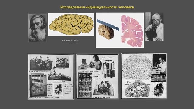 179 Сергей Савельев Морфология изменчивости мозга и гениальность 2015 11 18 [HD, 720p] смотреть онлайн