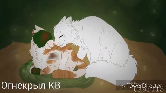 Коты-ВоителиЯроликаА жизнь не кончится завтраЗаказ