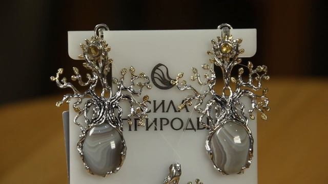 Камень агат, свойства и разновидности Агат - сильный защитный амулет  Сила природы.