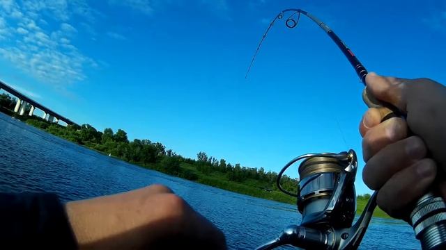 Печальный сход Сома!!! смотреть онлайн