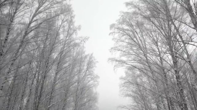 [25.12.16] Тренировка на 30 км смотреть онлайн