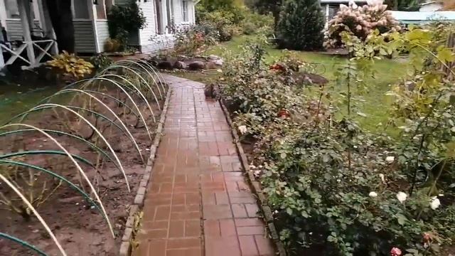 Подготовка роз к зиме. Начало. смотреть онлайн