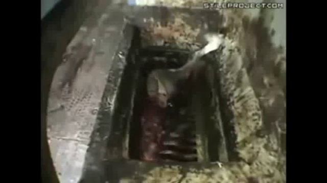 Как делают колбасу. Осторожно!