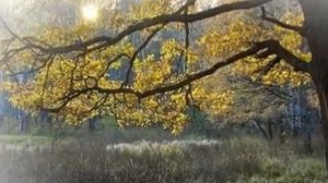 Михаил Михайлов (Тула - Земля моя).