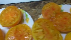 Томатные Гномы. Гном Потрясающий вырос на ЛЕНИВОЙ грядке способом ПОСАДИЛ И ЗАБЫЛ. Результат супер!