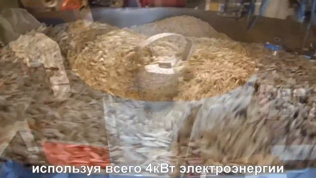 Жаровня MS-50. Жарка белых семечек. смотреть онлайн