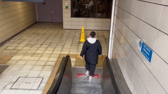 Vlog|гуляем по Стамбулу, ищем офис Серкана Болата, пробуем турецкую еду и многое другое ?? смотреть онлайн