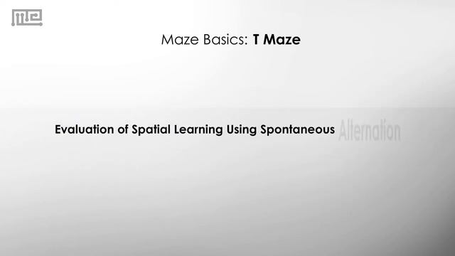 Maze Basics: T Maze смотреть онлайн