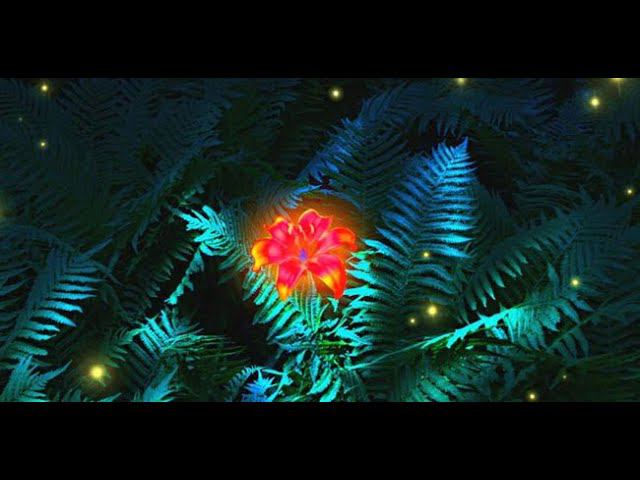 Купальский стрим. Ночная часть. смотреть онлайн