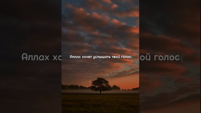 Аллах выбрал Нас для испытаний! (До слез) #islam #alhamdulillah #hedayat смотреть онлайн