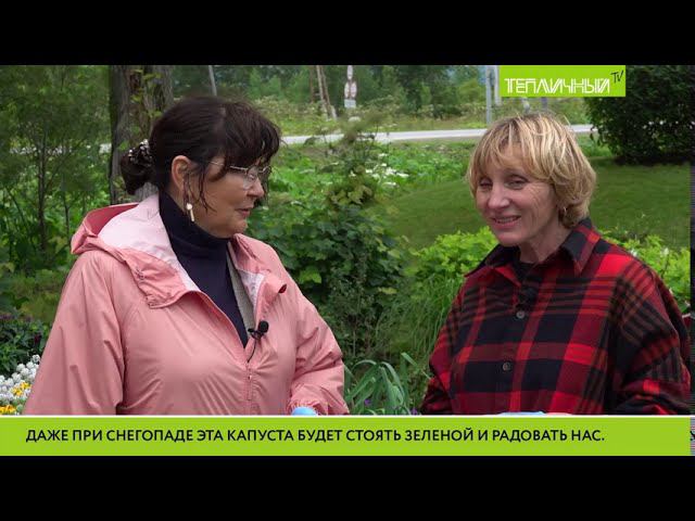 "Тепличный TV". Выпуск 9 смотреть онлайн