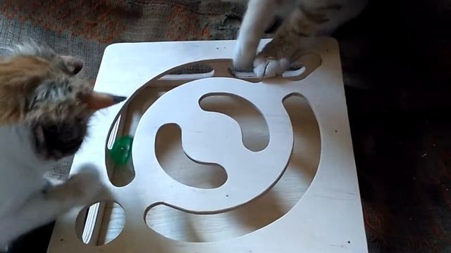 Интеллектуальная игрушка для кошек © / лабиринт для кошек #длякошек #игрушкидляживотных смотреть онлайн