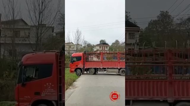 People are Amazing || tiktok || viral videos смотреть онлайн