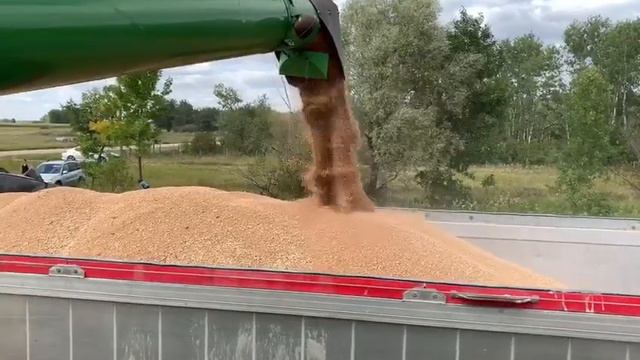 Нива вся белёшенька стоит смотреть онлайн
