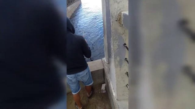 Рыбалка на Неве?Санкт- Петербург ловля с берега на воблер возле вантового моста смотреть онлайн