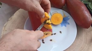 Сикана, Кассабанана. @batatchudo Описание вкуса.