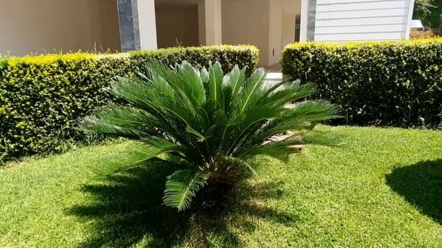 ДОМАШНИЕ ДЕЛА ЗАНИМАЮТ УЙМУ ВРЕМЕНИ смотреть онлайн