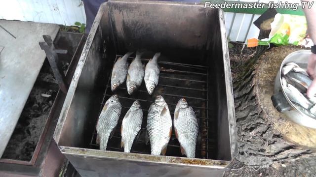 Как закоптить рыбу быстро, просто и вкусно смотреть онлайн