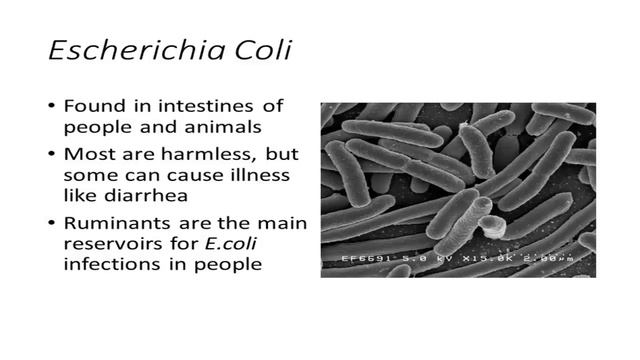 10.2 – Cryptosporidium and Escherichia coli: Zoonotic Pathogens смотреть онлайн