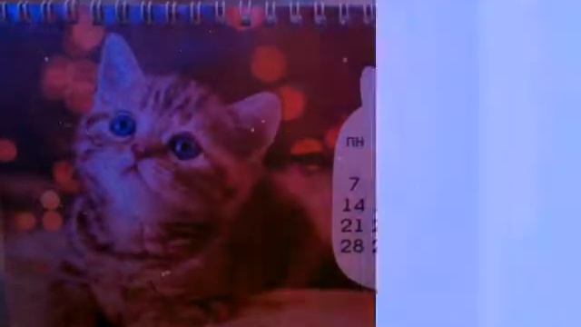 Календарь на 2017 год смотреть онлайн