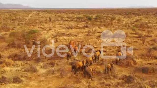 history of world 🌎 and Islam before Adam смотреть онлайн
