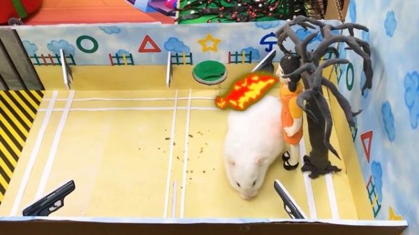 ? Hamster Escapes the SQUID GAME Maze - The Best Hamster Challenges