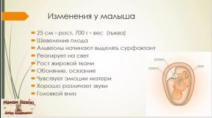 26 неделя беременности: изменения, рекомендации, особенности