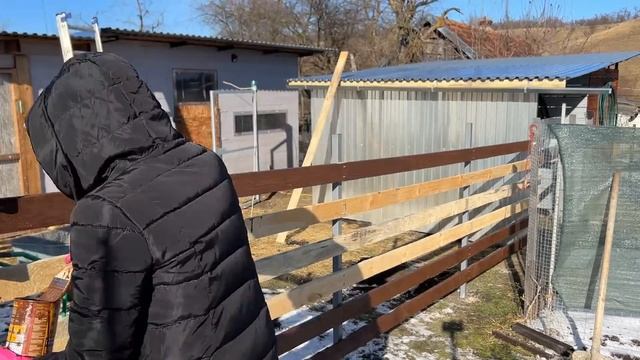 #491 На хуторе работы зимой больше чем летом / Пополняем запасы сена смотреть онлайн