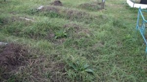 МУСУЛЬМАНСКОЕ КЛАДБИЩЕ | В ЧЕМ ОТЛИЧИЯ | ТРАГЕДИЯ и ГОРЕ